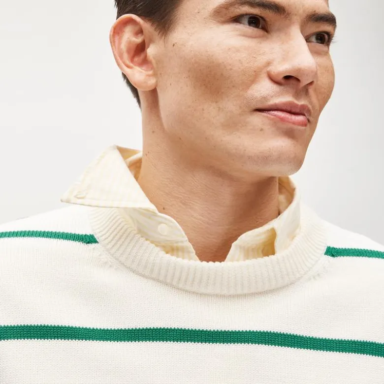 Heritage cotton sweater in stripe