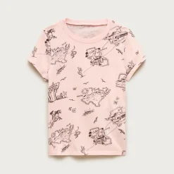 Road trip slim-fit graphic T-shirt in broken-in jersey