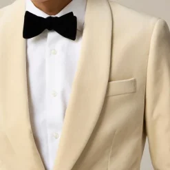 Velvet bow tie